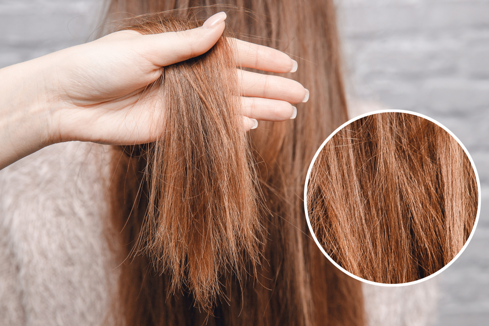 Three Things You Need to Know About This Natural Product – Argan Oil