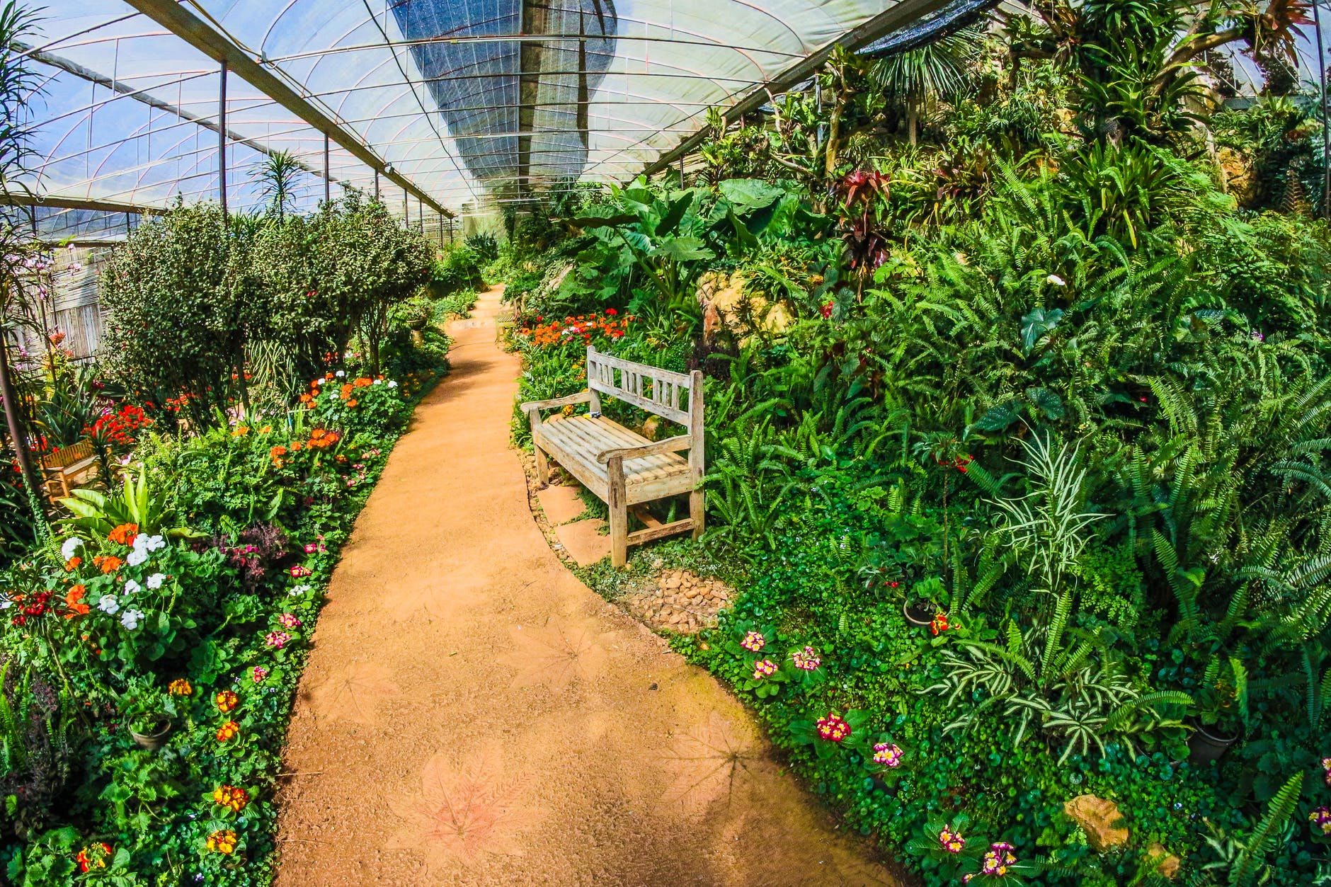Essential Gardening Tips in Winter to Grow More