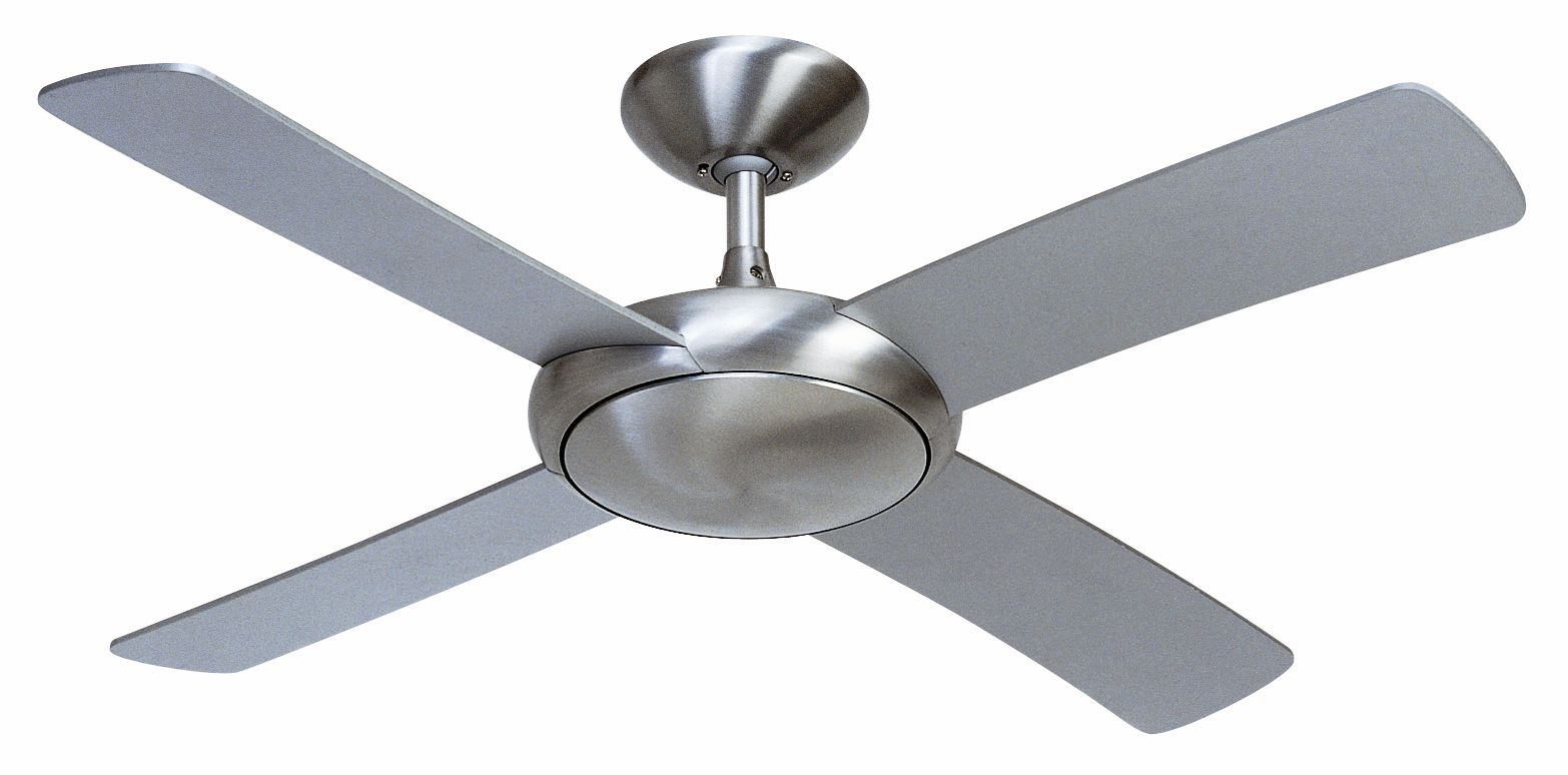Buy Ceiling fan
