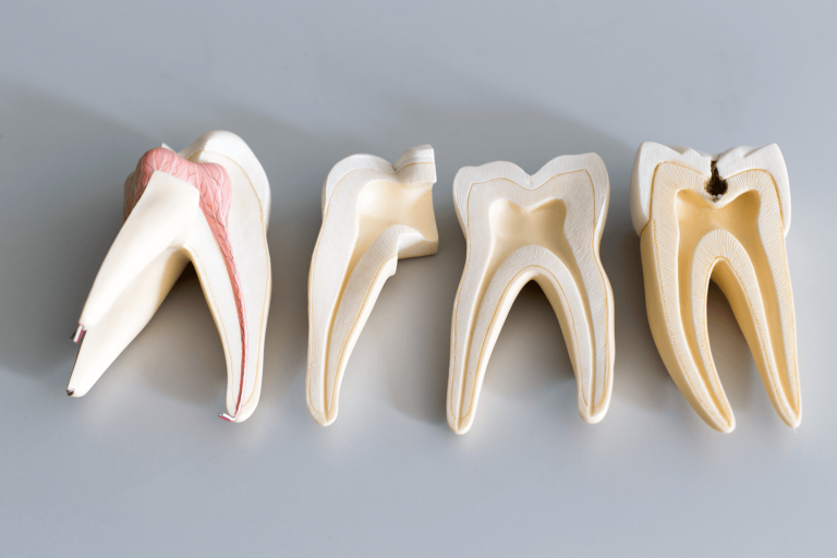 Taking An Endodontist Appointment? Take A Look At What Procedures They Perform!