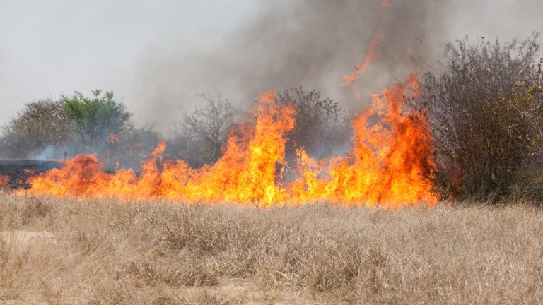 bush fire shutter