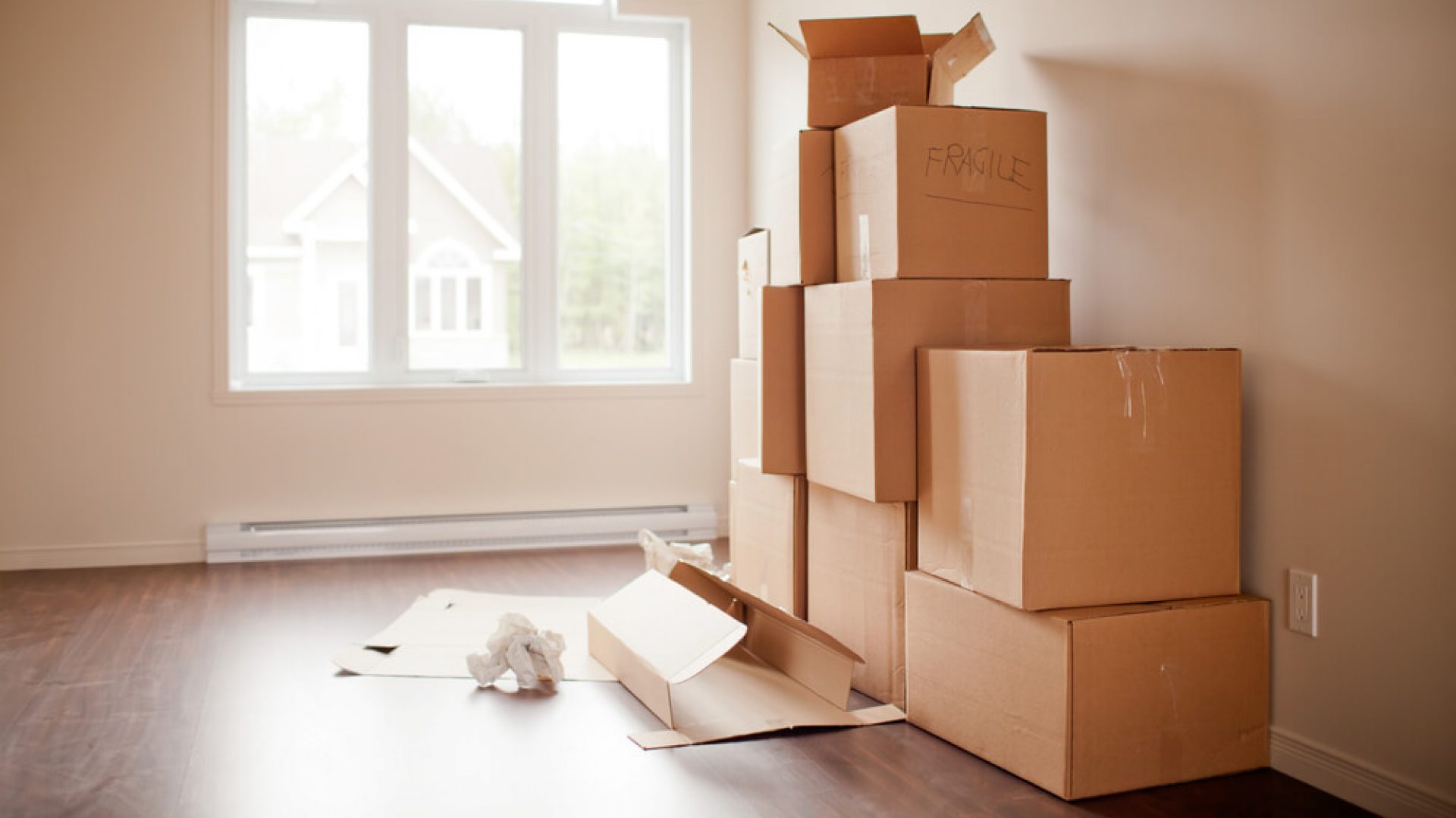 Removalist-Alexandria
