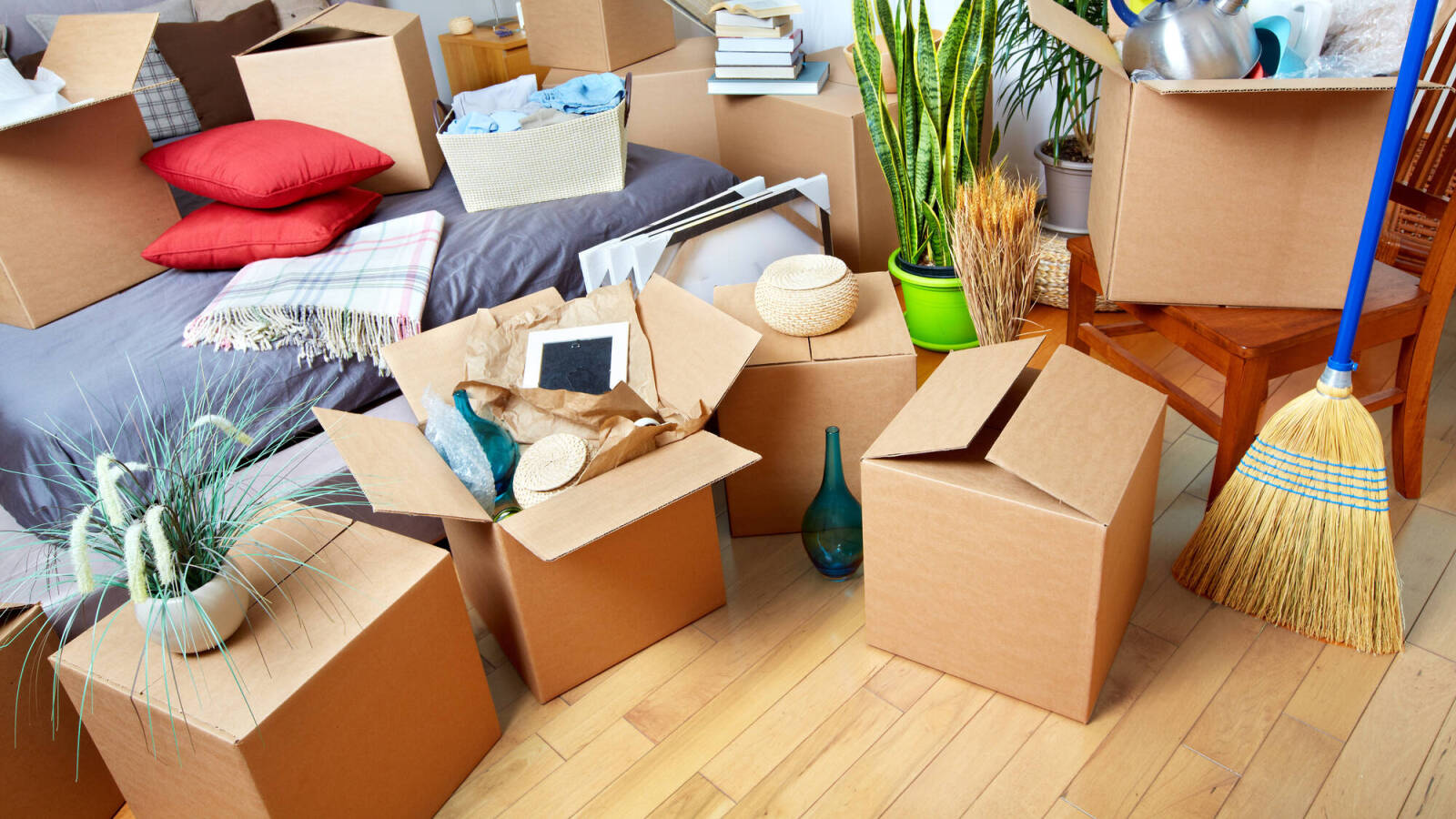 movers emu plains