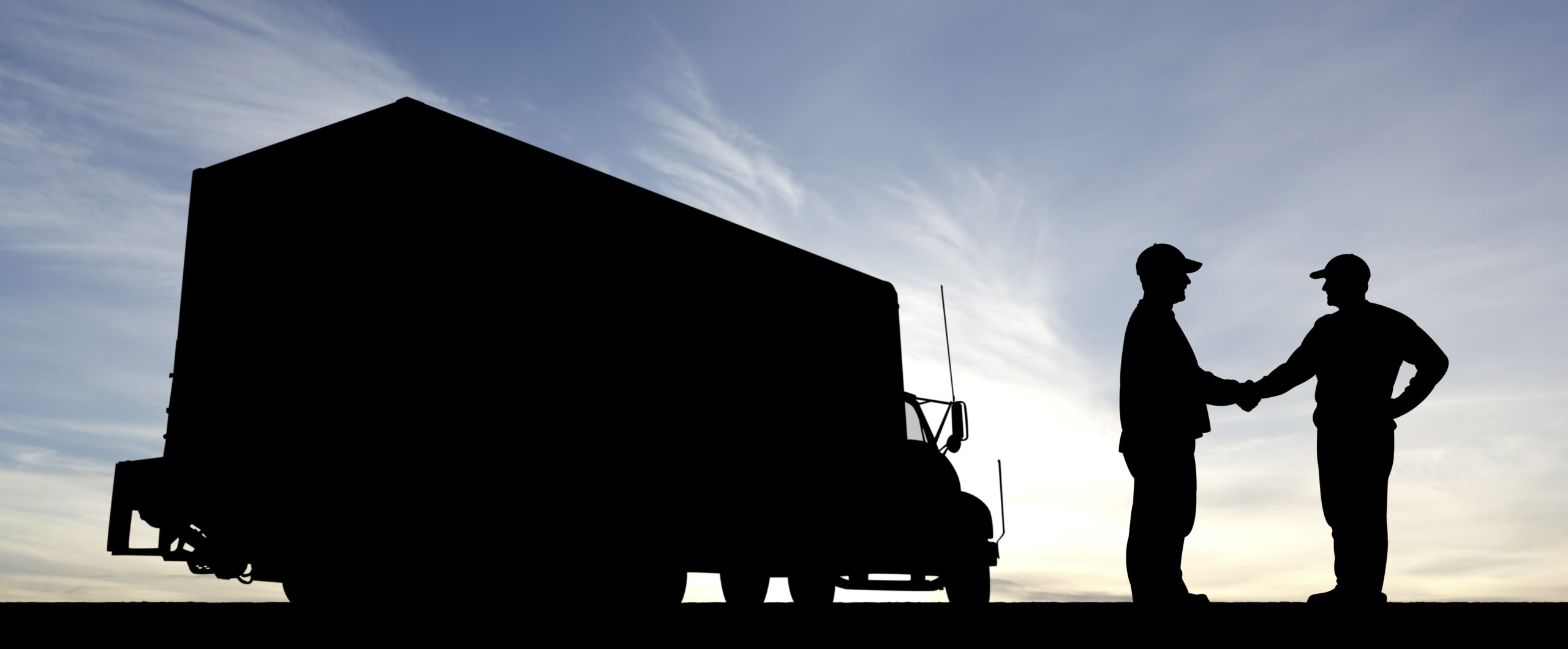 removalists newtown